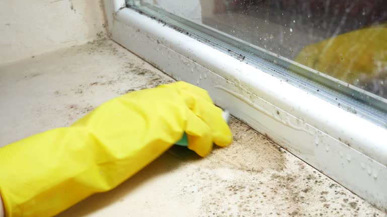 Best Commercial Mold Inspection  in Dallas Center, IA